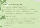 21세기 디지털시대를 선도할 여성 CEO, 이영남 디지털 대표 43페이지
