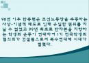 대학생문화와 촛불집회의 변화양상 (학생운동 뜻) 42페이지