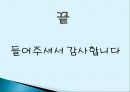 대체에너지 개발의 필요성  29페이지