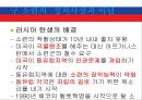 러시아의 정치사상과 이념  22페이지