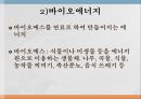 독일의 환경  15페이지