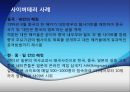 사이버테러와 국가안보  7페이지