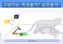 하이젠베르크 『부분과 전체』(고전역학 양자역학 차이) 17페이지