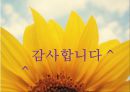 생활지도와 상담 26페이지