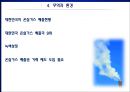 기후환경변화와 배출권거래제도 (지구온난화 기후변화협약, 생물다양성 보전 노력, 오존층파괴 해결방안, 오존층파괴 모트리올 의정서, 무역과 환경, 탄소 배출권 거래제도, 탄소 배출권 거래제도 조사) 13페이지