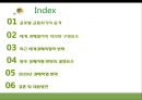 글로벌 금융위기와 세계경제질서  2페이지