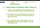글로벌 금융위기와 세계경제질서  9페이지