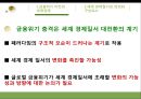 글로벌 금융위기와 세계경제질서  11페이지