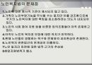 노인과 노인복지  15페이지