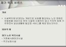 노인과 노인복지  32페이지
