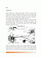 [뉴런] 뉴런의 구조와 기능, 뉴런의 활동, 신경전달물질 2페이지
