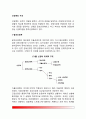 [신경계 구조] 신경계의 구조와 기능(말초신경계, 중추신경계) 2페이지