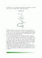 [아동기 신체발달] 아동기의 신체발달의 특징(뇌발달, 신장과 체중발달), 아동기 건강관리, 아동기 신체기능 발달 3페이지