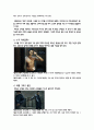 영화 ‘아저씨’속의 범죄와 형벌 4페이지