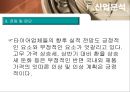 [타이어산업분석] 한국타이어 & 넥센타이어 13페이지
