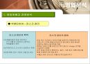 [타이어산업분석] 한국타이어 & 넥센타이어 20페이지
