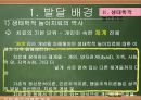 [놀이치료의 이론과 실제] 생태체계적 놀이치료 8페이지