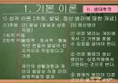 [놀이치료의 이론과 실제] 생태체계적 놀이치료 12페이지