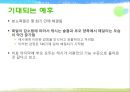 [놀이치료의 이론과 실제] 생태체계적 놀이치료 84페이지