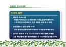[아이들은  때려서  키워야 한다][체벌 금지를 찬성합니다!] 25페이지