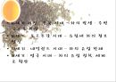 Coffee & Tea[커피 기원] 47페이지