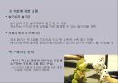 [놀이치료의 이론과 실제] 인지행동 놀이치료 70페이지
