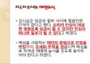 김시습 한문학에 나타난 작가의 현실 인식  23페이지