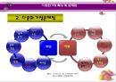 多문화가정 아동 [다문화가정] 12페이지