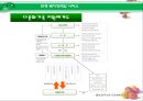 多문화가정 아동 [다문화가정] 15페이지