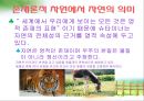 놀이지도 슈타이너의 자연에 대한 기독교적인 조명  6페이지