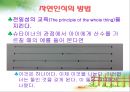 놀이지도 슈타이너의 자연에 대한 기독교적인 조명  10페이지