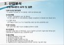 [기업정보의 이해] 삼성전자 기업경영분석 30페이지