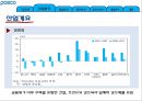 [기업정보의 이해] 포스코 13페이지