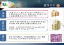 골격의 구조와  뼈, 관절에 대해서  4페이지