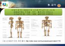 골격의 구조와  뼈, 관절에 대해서  10페이지