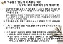 결혼제도 ‘밖’ 여성들이 경험하는  불평등 21페이지