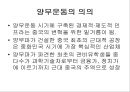 양무운동  34페이지