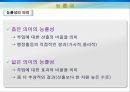 행정의 수단적 가치  11페이지