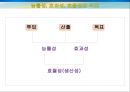 행정의 수단적 가치  19페이지