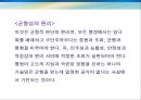 행정의 수단적 가치  42페이지