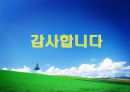 행정의 수단적 가치  43페이지