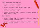 독일 미술 44페이지