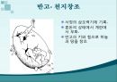 [중국문화의 이해] 중국의 문학 10페이지