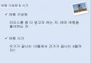 [라오스 여행계획서] 소금이 머무는 곳, 콕싸앗 5페이지