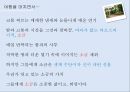 [라오스 여행계획서] 소금이 머무는 곳, 콕싸앗 38페이지