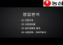 농심 기업분석 17페이지