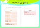 바우처 Voucher  12페이지