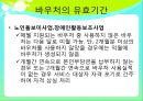 바우처 Voucher  29페이지