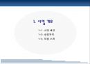 백 브라 사업계획서 3페이지