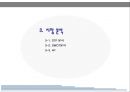 백 브라 사업계획서 12페이지